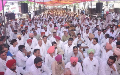 msid 121893513imgsize 69392.cms https://jaipur.visitinrajasthan.com/wp-content/uploads/2023/10/cropped-cropped-R-2.png