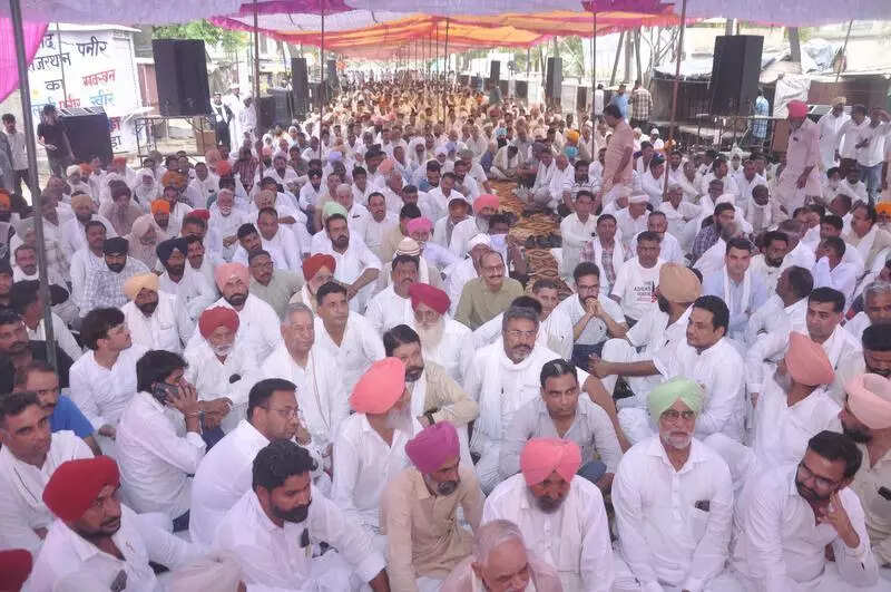 msid 121893513imgsize 69392.cms https://jaipur.visitinrajasthan.com/wp-content/uploads/2023/10/cropped-cropped-R-2.png