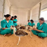 msid 121916890imgsize 52442.cms https://jaipur.visitinrajasthan.com/wp-content/uploads/2023/10/cropped-cropped-R-2.png