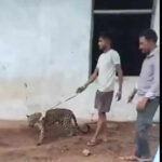 msid 122033401imgsize 7174.cms https://jaipur.visitinrajasthan.com/wp-content/uploads/2023/10/cropped-cropped-R-2.png