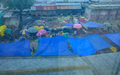 msid 122119298imgsize 52838.cms https://jaipur.visitinrajasthan.com/wp-content/uploads/2023/10/cropped-cropped-R-2.png