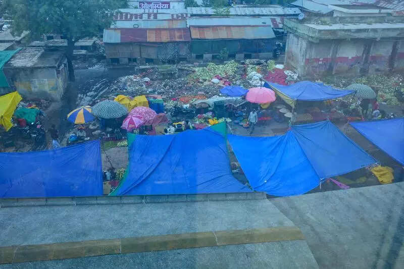 msid 122119298imgsize 52838.cms https://jaipur.visitinrajasthan.com/wp-content/uploads/2023/10/cropped-cropped-R-2.png