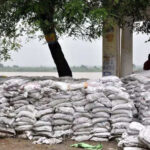 msid 122134713imgsize 100898.cms https://jaipur.visitinrajasthan.com/wp-content/uploads/2023/10/cropped-cropped-R-2.png