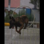 122212566 https://jaipur.visitinrajasthan.com/wp-content/uploads/2023/10/cropped-cropped-R-2.png