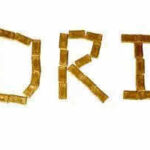 msid 122184493imgsize 4368.cms https://jaipur.visitinrajasthan.com/wp-content/uploads/2023/10/cropped-cropped-R-2.png