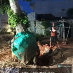 msid 122256782imgsize 72378.cms https://jaipur.visitinrajasthan.com/wp-content/uploads/2023/10/cropped-cropped-R-2.png