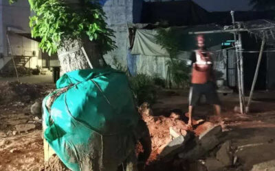 msid 122256782imgsize 72378.cms https://jaipur.visitinrajasthan.com/wp-content/uploads/2023/10/cropped-cropped-R-2.png