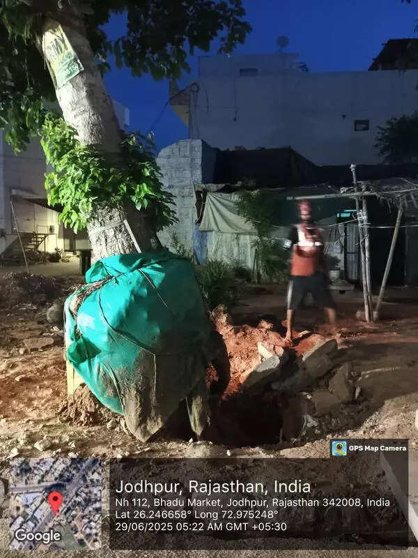 msid 122256782imgsize 72378.cms https://jaipur.visitinrajasthan.com/wp-content/uploads/2023/10/cropped-cropped-R-2.png