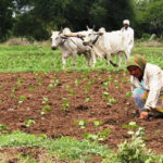 msid 122350186imgsize 125658.cms https://jaipur.visitinrajasthan.com/wp-content/uploads/2023/10/cropped-cropped-R-2.png