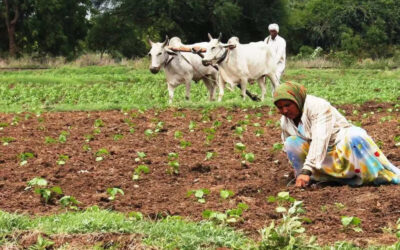 msid 122350186imgsize 125658.cms https://jaipur.visitinrajasthan.com/wp-content/uploads/2023/10/cropped-cropped-R-2.png