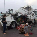 msid 122423497imgsize 52298.cms https://jaipur.visitinrajasthan.com/wp-content/uploads/2023/10/cropped-cropped-R-2.png