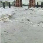 msid 122460618imgsize 12076.cms https://jaipur.visitinrajasthan.com/wp-content/uploads/2023/10/cropped-cropped-R-2.png