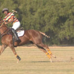 msid 122768771imgsize 32892.cms https://jaipur.visitinrajasthan.com/wp-content/uploads/2023/10/cropped-cropped-R-2.png