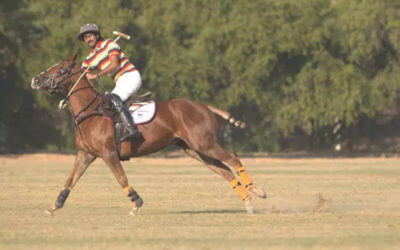 msid 122768771imgsize 32892.cms https://jaipur.visitinrajasthan.com/wp-content/uploads/2023/10/cropped-cropped-R-2.png