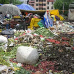 msid 122800804imgsize 130540.cms https://jaipur.visitinrajasthan.com/wp-content/uploads/2023/10/cropped-cropped-R-2.png