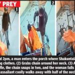 msid 122866940imgsize 63616.cms https://jaipur.visitinrajasthan.com/wp-content/uploads/2023/10/cropped-cropped-R-2.png