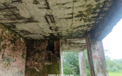 msid 122927178imgsize 102702.cms https://jaipur.visitinrajasthan.com/wp-content/uploads/2023/10/cropped-cropped-R-2.png