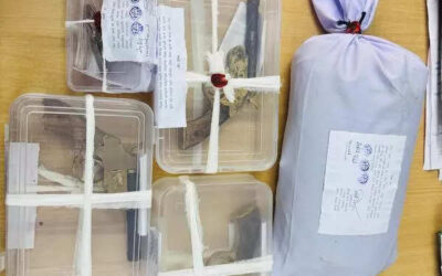 msid 122959921imgsize 42572.cms https://jaipur.visitinrajasthan.com/wp-content/uploads/2023/10/cropped-cropped-R-2.png