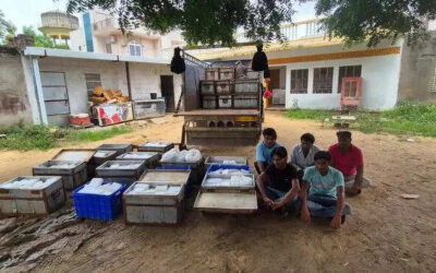 msid 122960527imgsize 65846.cms https://jaipur.visitinrajasthan.com/wp-content/uploads/2023/10/cropped-cropped-R-2.png