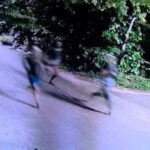 msid 123005371imgsize 39856.cms https://jaipur.visitinrajasthan.com/wp-content/uploads/2023/10/cropped-cropped-R-2.png