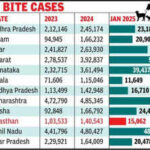 123051437 https://jaipur.visitinrajasthan.com/wp-content/uploads/2023/10/cropped-cropped-R-2.png