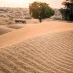 123068201 https://jaipur.visitinrajasthan.com/wp-content/uploads/2023/10/cropped-cropped-R-2.png