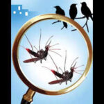 123103942 https://jaipur.visitinrajasthan.com/wp-content/uploads/2023/10/cropped-cropped-R-2.png