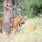 123150290 https://jaipur.visitinrajasthan.com/wp-content/uploads/2023/10/cropped-cropped-R-2.png