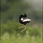 123210485 https://jaipur.visitinrajasthan.com/wp-content/uploads/2023/10/cropped-cropped-R-2.png