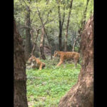 123223215 https://jaipur.visitinrajasthan.com/wp-content/uploads/2023/10/cropped-cropped-R-2.png