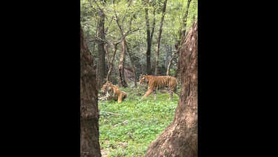 123223215 https://jaipur.visitinrajasthan.com/wp-content/uploads/2023/10/cropped-cropped-R-2.png