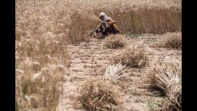 123350659 https://jaipur.visitinrajasthan.com/wp-content/uploads/2023/10/cropped-cropped-R-2.png