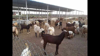 123350746 https://jaipur.visitinrajasthan.com/wp-content/uploads/2023/10/cropped-cropped-R-2.png