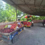 123372573 https://jaipur.visitinrajasthan.com/wp-content/uploads/2023/10/cropped-cropped-R-2.png