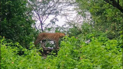 123440638 https://jaipur.visitinrajasthan.com/wp-content/uploads/2023/10/cropped-cropped-R-2.png