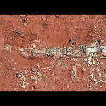 123445546 https://jaipur.visitinrajasthan.com/wp-content/uploads/2023/10/cropped-cropped-R-2.png