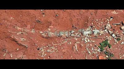 123445546 https://jaipur.visitinrajasthan.com/wp-content/uploads/2023/10/cropped-cropped-R-2.png