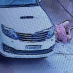 msid 123029672imgsize 96968.cms https://jaipur.visitinrajasthan.com/wp-content/uploads/2023/10/cropped-cropped-R-2.png