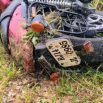 msid 123081688imgsize 85082.cms https://jaipur.visitinrajasthan.com/wp-content/uploads/2023/10/cropped-cropped-R-2.png