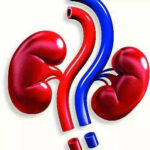 msid 123103951imgsize 14064.cms https://jaipur.visitinrajasthan.com/wp-content/uploads/2023/10/cropped-cropped-R-2.png