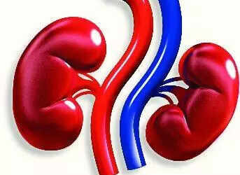 msid 123103951imgsize 14064.cms https://jaipur.visitinrajasthan.com/wp-content/uploads/2023/10/cropped-cropped-R-2.png