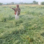 msid 123195878imgsize 104450.cms https://jaipur.visitinrajasthan.com/wp-content/uploads/2023/10/cropped-cropped-R-2.png