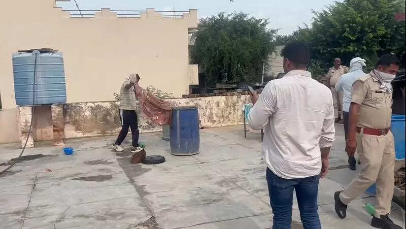 msid 123351137imgsize 37100.cms https://jaipur.visitinrajasthan.com/wp-content/uploads/2023/10/cropped-cropped-R-2.png