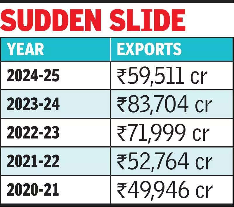 msid 123372636imgsize 35738.cms https://jaipur.visitinrajasthan.com/wp-content/uploads/2023/10/cropped-cropped-R-2.png