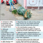 msid 123511283imgsize 96520.cms https://jaipur.visitinrajasthan.com/wp-content/uploads/2023/10/cropped-cropped-R-2.png