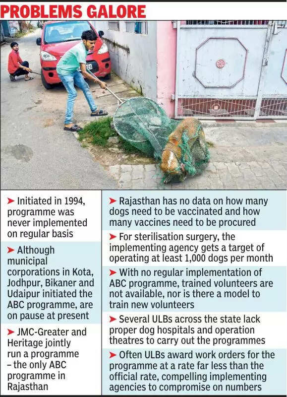 msid 123511283imgsize 96520.cms https://jaipur.visitinrajasthan.com/wp-content/uploads/2023/10/cropped-cropped-R-2.png