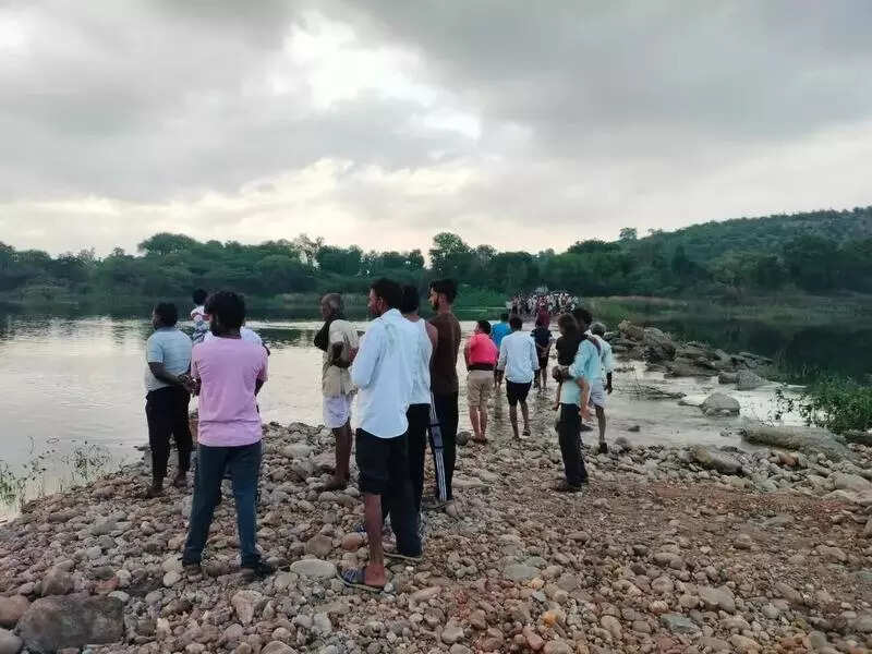 msid 123551596imgsize 62494.cms https://jaipur.visitinrajasthan.com/wp-content/uploads/2023/10/cropped-cropped-R-2.png