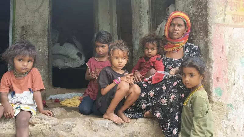 msid 123572225imgsize 50198.cms https://jaipur.visitinrajasthan.com/wp-content/uploads/2023/10/cropped-cropped-R-2.png