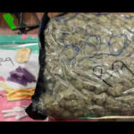 dri seizes gold weed worth over 17 crore at jaipur airport https://jaipur.visitinrajasthan.com/wp-content/uploads/2023/10/cropped-cropped-R-2.png