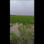 ghaggar river floods border posts https://jaipur.visitinrajasthan.com/wp-content/uploads/2023/10/cropped-cropped-R-2.png